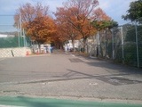 2012-11-20 11.09.56.jpg